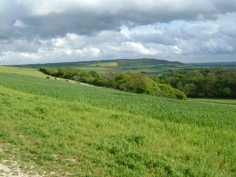 South Downs