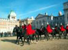 Horse Guards